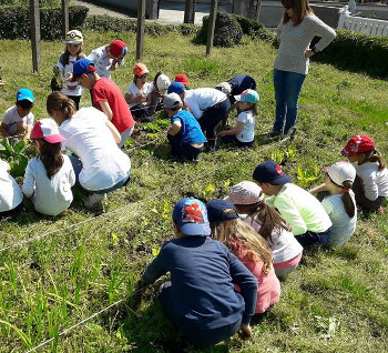 Actividade no Horto Infantil